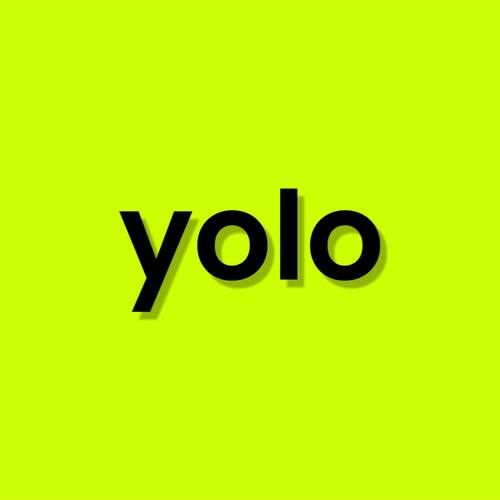 YOLO logo